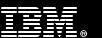 IBM logo